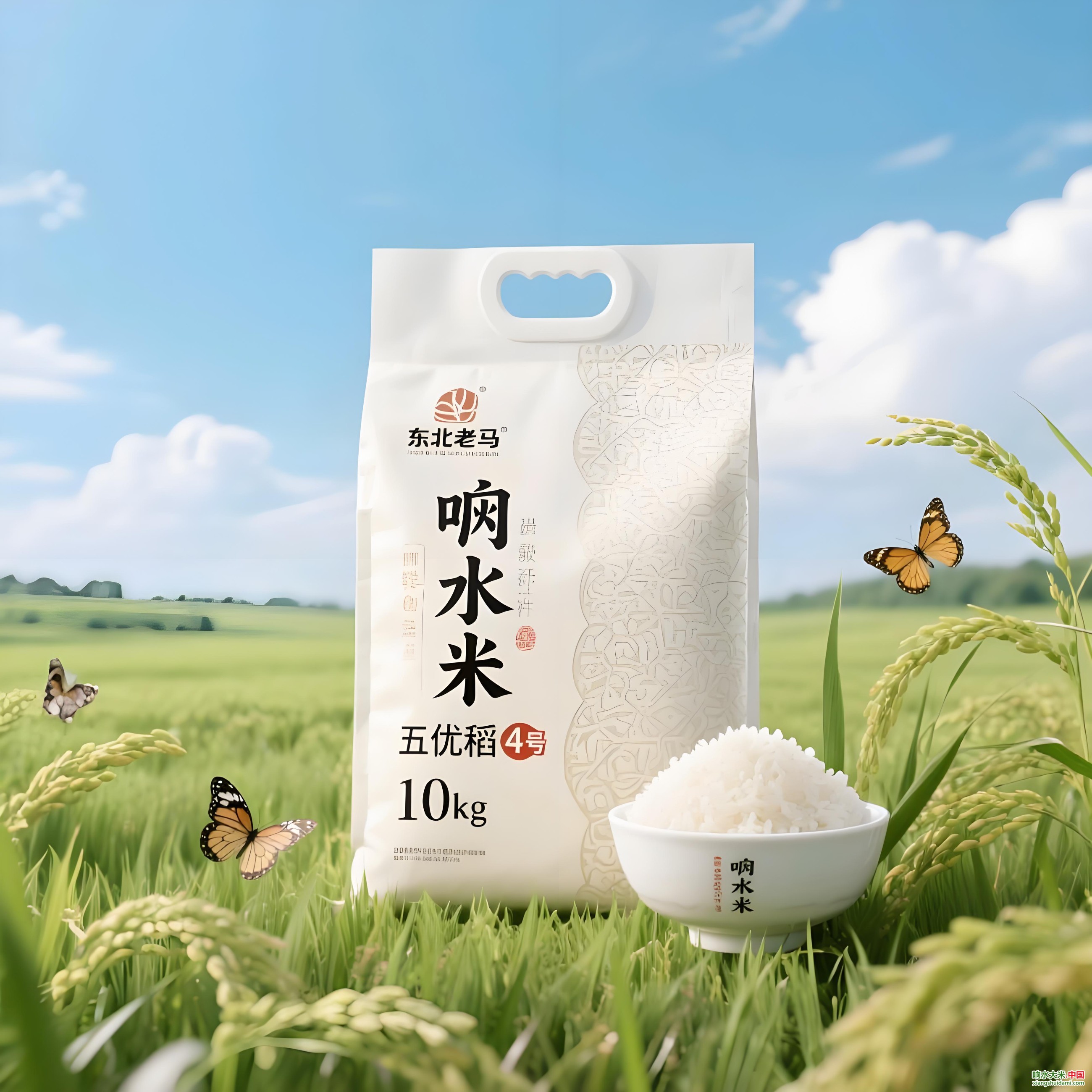 响水大米网 响水大米网