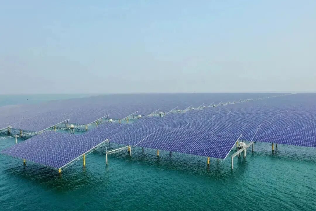 响水大米网 图片