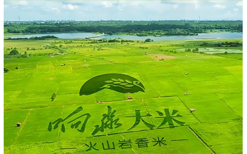 什么大米最好吃？2025年权威大米品质排行榜揭晓