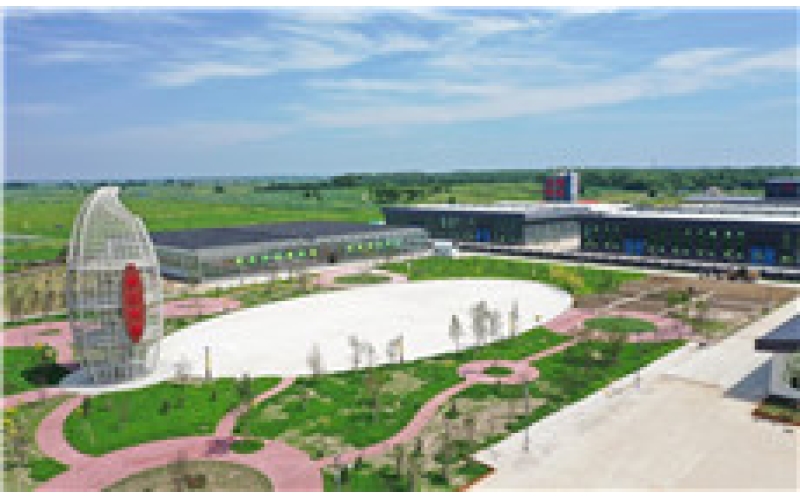 舒兰大米｜粒粒珠玉 润糯香甜