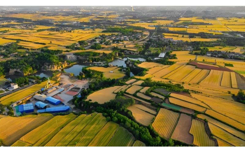 我国粮食状况分析报告