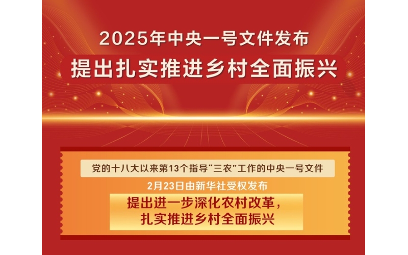 2025年中央一号文件（全文）&mdash;&mdash;中共中央 国务院关于进一步深化农村改革 扎实推进乡村全面振兴的意见